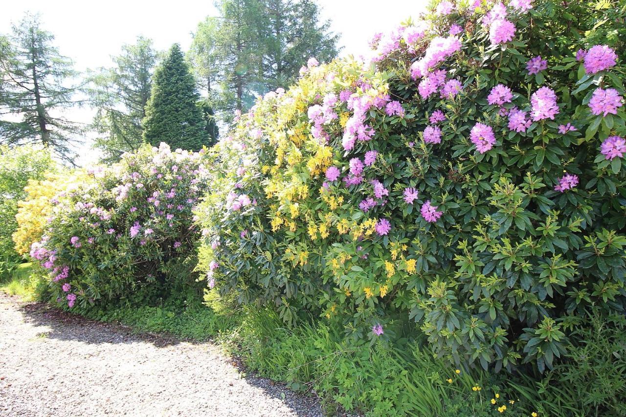 Ben Lomond Cottage Gartocharn エクステリア 写真